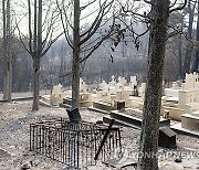 Greece Wildfires