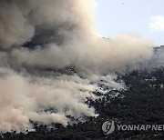 GREECE WILDFIRES