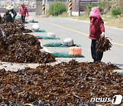 [오늘의 날씨]대구·경북(24일,목)…비 최대 120㎜,폭염 멈춰도 낮 30도