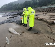 해경 상괭이 사체 수습