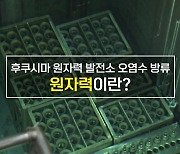 [짤막상식] 후쿠시마 원자력 발전소 오염수 방류 '원자력'이란?