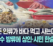 오염수 방류 시름 깊어진 수산업계…시민들도 걱정