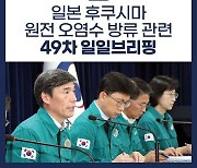 후쿠시마 원전 오염수 방류 관련 일일 브리핑(8.23.)