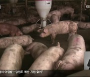 돼지 농장 악취 ‘기준치 6배’…‘관리지역’ 지정 추진