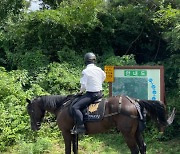 올레길도 안전하게…제주 기마대 ‘이럇’