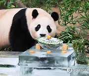 시원한 얼음 냉면과 얼음 장화