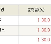 [fnRASSI]오늘의 상한가, 태양금속우 30.0% ↑