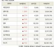 [fnRASSI]장마감, 거래소 상승 종목(태양금속우 30.0% ↑)