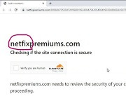 "구독이 곧 만료됩니다" 넷플릭스 구독갱신 피싱 공격 주의보