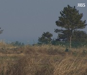 "가짜농부 잡아낸다".. 법인·외국인 농지까지  전수조사