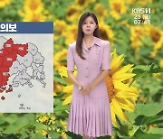 [날씨] 광주·전남 11개 시군 폭염주의보…오전까지 가끔 비