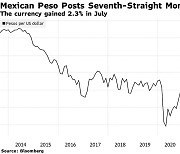 고공행진하는 멕시코 페소화, '슈퍼 페소'로 거듭날까