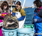 [과학으로 보는 방류]②日, 매일 바닷물 뜨고 광어 잡아 방사능 검사