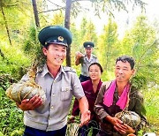 북한의 산림 돌보는 노동자들…"산림은 나라의 귀중한 자원"