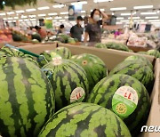 깨지 않고 달콤한 수박 찾는다 '비파괴검사'[아무Tech]