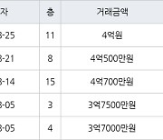 수원 영통동 영통신나무실신성신안쌍용진흥 59㎡ 4억500만원에 거래