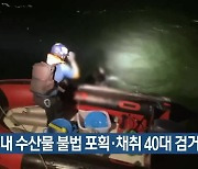 항만 내 수산물 불법 포획·채취 40대 검거