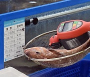 日수산청 "첫 물고기 검사서 삼중수소 안 나왔다"