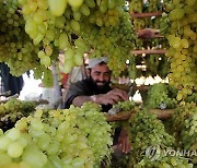 AFGHANISTAN AGRICULTURE