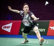 Denmark Badminton