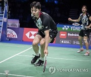 Denmark Badminton