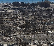 Hawaii Fires Power Lines