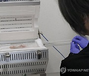 후쿠시마 오염수 방류 후 물고기 검사