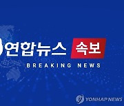 [속보] 경찰, 서울 은평구 흉기소지범 제압…흉기 7개 압수