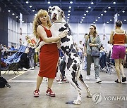 Switzerland World Dog Show