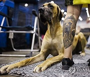 SWITZERLAND WORLD DOG SHOW 2023