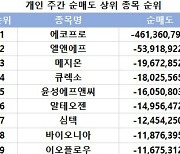 코스닥 주간 개인 순매도 1위 '에코프로'