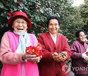 은퇴 후 동백마을 살아볼까…제주 남원에 은퇴자마을 조성