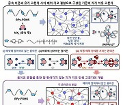 KAIST, 쭉쭉 늘어나는 웨어러블 디바이스 핵심기술 개발