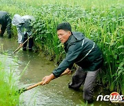 이번 주 폭우 예보에 북한도 긴장…"백배의 분발력과 투신력 발휘하자"