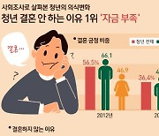 [오늘의 그래픽] 청년 결혼 안 하는 이유 1위 '자금 부족'