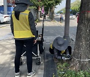 산림청, 주택·인구 밀집지 수목 안전 점검