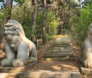 "국토 정중앙서 좋은 기 받으세요" 1~3일 양구 국토정중앙점 건강트레일워킹