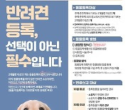 경기 남양주시, 동물등록 자진신고 기간 운영…과태료 면제