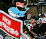 日오염수 방류로 중국서 '반일감정' 고조…"한국으로 발길돌리나"