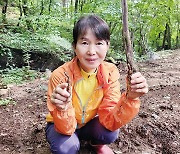 "단풍 경치에 반해 귀농... 함양 산삼 먹고 건강 되찾았죠"