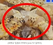 유명 수산시장인데… 킹크랩 ‘얼음 치기’ 논란