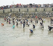 [서산소식] 제17회 삼길포 우럭축제에 3만여명 다녀가