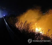 Italy Wildfires