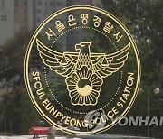 은평구 먹자골목서 양손에 흉기·삼단봉 들고 배회