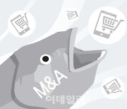 [마켓인]그 많던 M&A 매각설은 다 어디로 갔을까