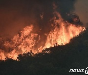 그리스 북동부 산불 열흘째…여의도 91배 소실 '통제불능'