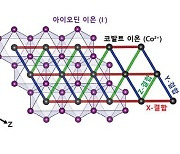 [특징주]한국정보인증, 세계최초 삼각격자 양자 발견..양자난수 OTP기술 부각↑