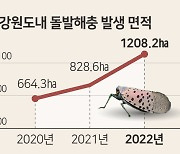 따뜻한 겨울 탓 해충 부화율 껑충 “폭염에 약 칠 시간 부족”