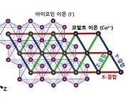 국내 연구진 '새 양자상태' 발견…관련주 강세