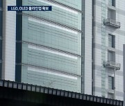 애플·삼성·현대차 모두 고객…LG OLED 풀가동